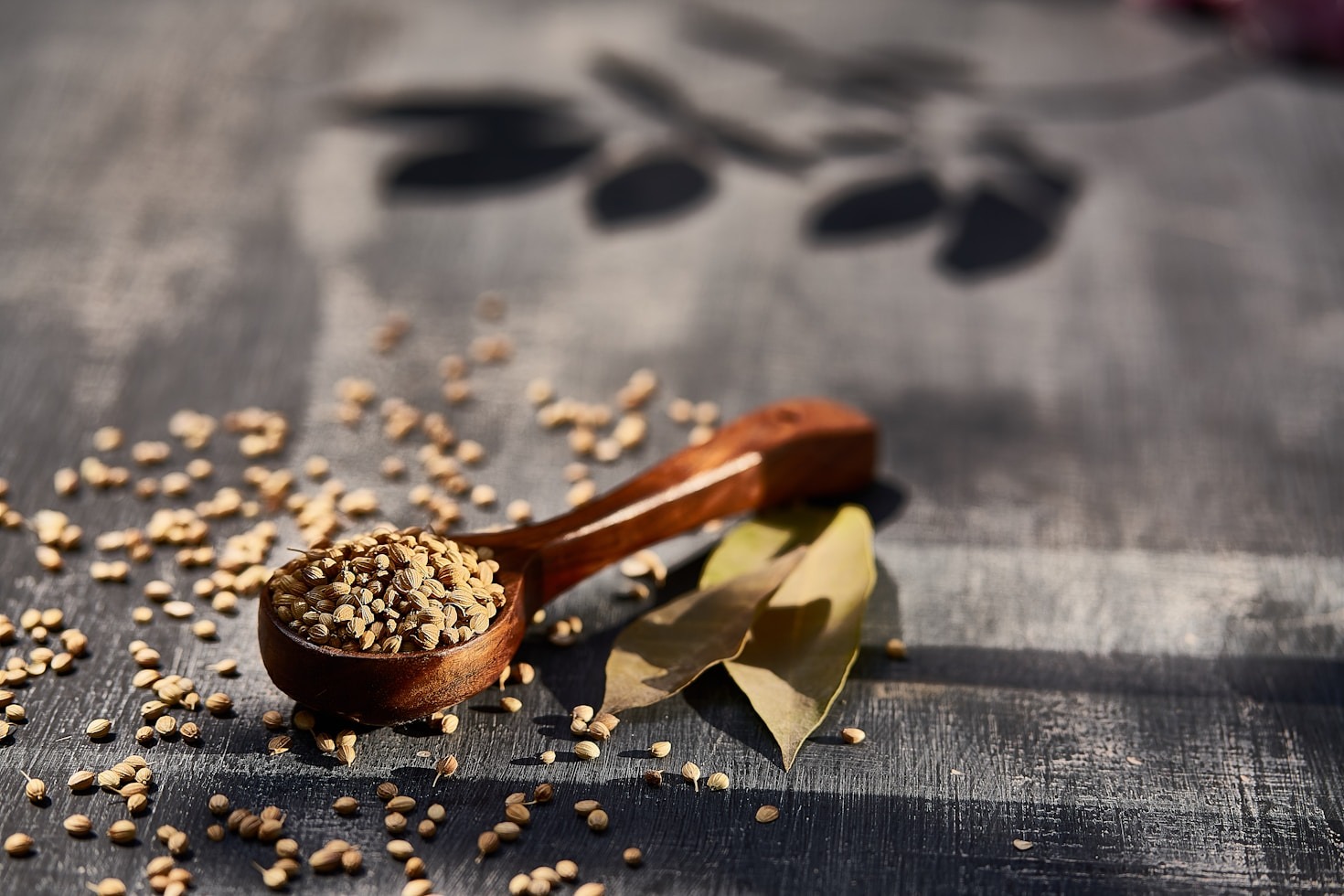 Técnicas da Medicina Tradicional Chinesa explicadas
